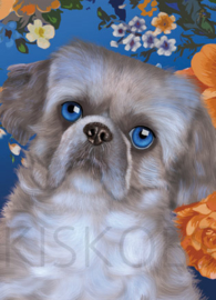 SHIH TZU