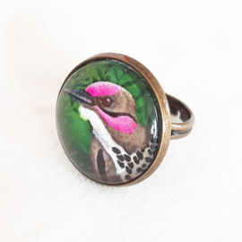 Cabochon ring bird PINK CHEEK WOODPECKER