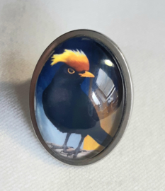 Cabochon ring bird YELLOW-CRESTED BLACKBIRD