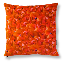 Red velvet cushion cover POPPY