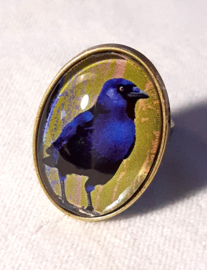 Bague cabochon oiseau CORNEILLE A VENTRE BLEU