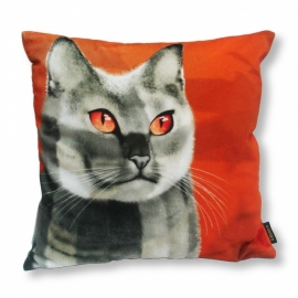 Housse coussin chat velours Orange-Grise CALICO 