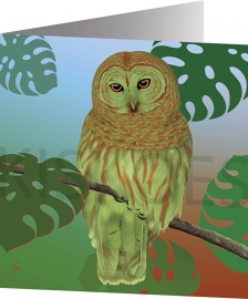 TROPICAL OWL