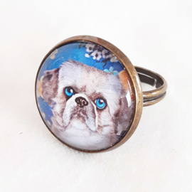 Anillo cabujón perro SHIZI