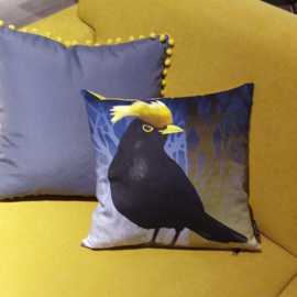 Bird cushion cover cotton or velvet CRESTED BLACKBIRD