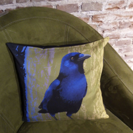 Bird cushion cover cotton or velvet BLUE-BELLIED CROW