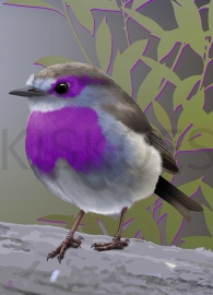 PURPLETHROAT