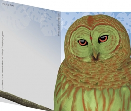 TROPICAL OWL XL