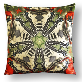 Cushion cover velvet QUEEN PAGE BUTTERFLY