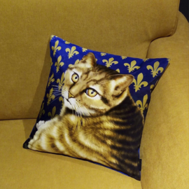 Blue gold velvet cushion cover Cat GOLDIE