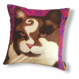 Housse coussin chat velours Brune-Violette PRINCE CHOCO 