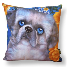 Housse Coussin velours Grise Chien SHIZI