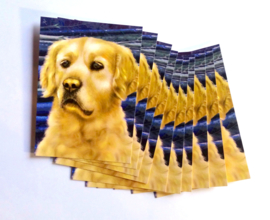 Yellow-blue velvet cushion cover Dog GOLDILOCKS