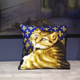 Blue gold velvet cushion cover Cat GOLDIE