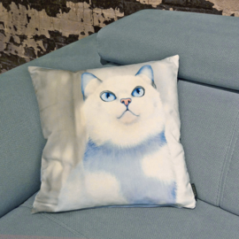 Housse coussin chat velours Bleue-Blanche ADONIS 