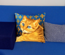  Housse coussin chat velours Bleue-Ocre OEIL BLEU