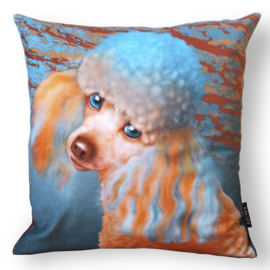 Housse coussin velours Orange-bleue Chien LADY