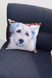 Housse coussin velours Bleue-blanche Chien FRANKIE