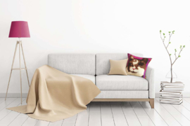 Fodera cuscino velluto gatto Marrone-Viola PRINCIPE CHOCO2 