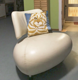 Mocca cream velvet cushion cover Cat MACCHIATO