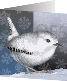 SNOW WREN