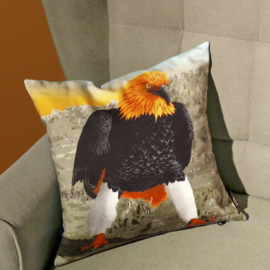 Housse coussin Oiseau coton ou velours  AIGLE DE FEU