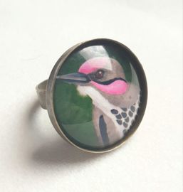 Cabochon ring bird PINK CHEEK WOODPECKER