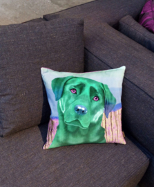 Dog throw pillow ESMERALDA green-pink velvet pillow cas