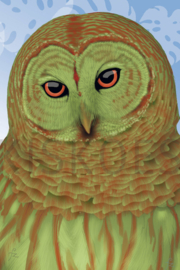 TROPICAL OWL XL