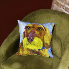 Housse coussin velours Verte-brune Chien OLIVER