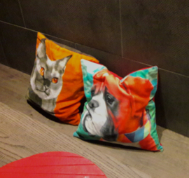 Fodera cuscino velluto gatto Grigio-Narancione CALICO