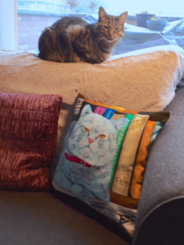 Housse coussin chat velours Grise PETIT MALIN 