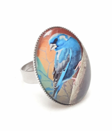 Anello cabochon ucello FRINGUELLO BLU