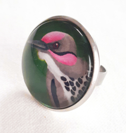 Cabochon ring bird PINK CHEEK WOODPECKER