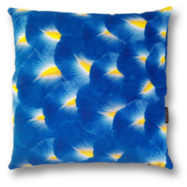 Blue velvet cushion cover IRIS