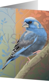 BLUEFINCH