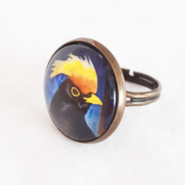 Cabochon ring bird YELLOW-CRESTED BLACKBIRD