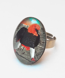 Cabochon-Ring Vogel FEUER ADLER