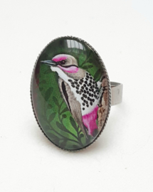 Cabochon ring bird PINK CHEEK WOODPECKER