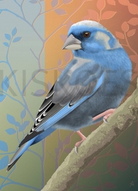 BLUEFINCH