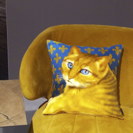 Blue ochre velvet cushion cover Cat BLUE EYE