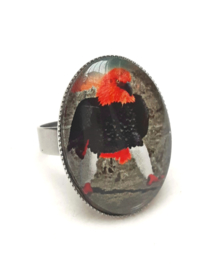 Anillo cabujón pájaro AGUILA DE FUEGO