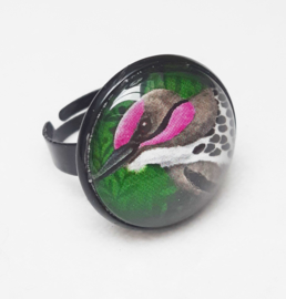 Cabochon ring bird PINK CHEEK WOODPECKER