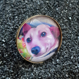 Cabochonring hond FAFFIE