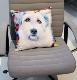 Housse coussin velours Bleue-blanche Chien FRANKIE