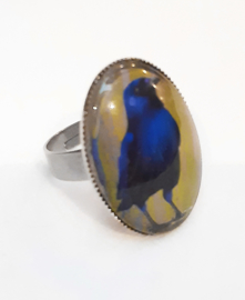 Cabochonring vogel BLAUWBUIK KRAAI