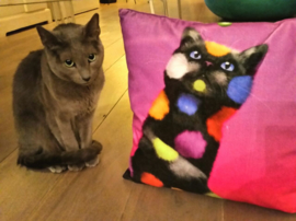 Fodera cuscino velluto gatto Viola GICATTOLO