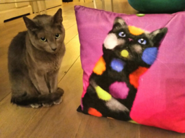 Housse coussin chat velours Pourpre LUDIQUE CHAT 