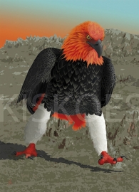 ÁGUILA DE FUEGO