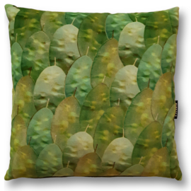 Housse Coussin velours Vert MONNAIE-DU-PAPE